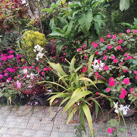 Soly'S Villa Homestay Munnar Exteriör bild