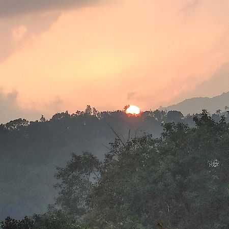 Soly'S Villa Homestay Munnar Exteriör bild